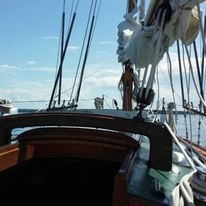 Meet your Posher, Ann